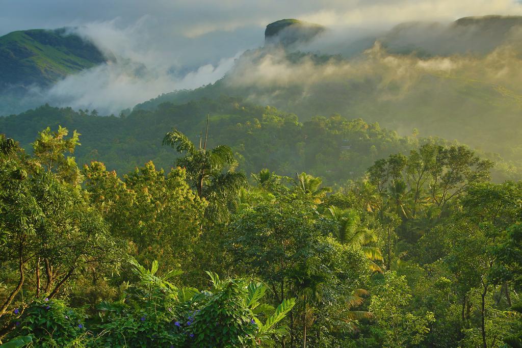 Sceva'S Garden Home Munnar Exterior foto