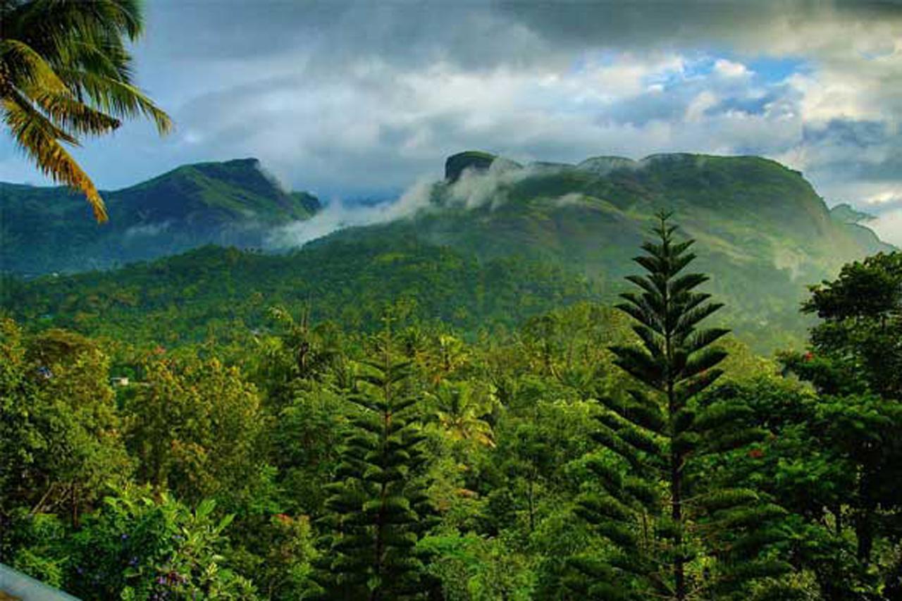 Sceva'S Garden Home Munnar Exterior foto